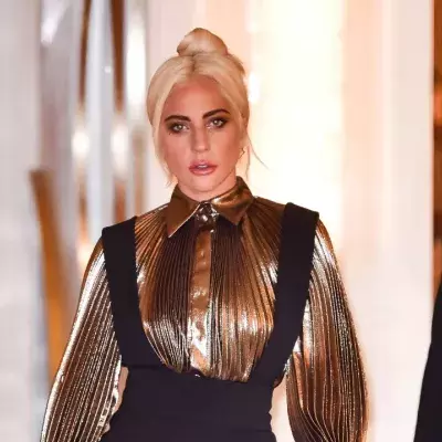 Lady Gagas Hunde sind wieder da