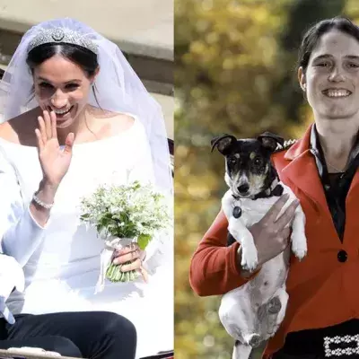 Engländerin stellt Hochzeit mit ihren Hunden nach. Manche schäumen vor Wut!
