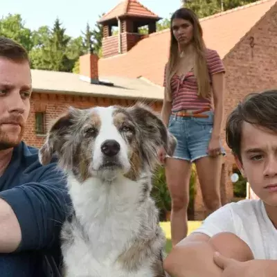 TV-Tipps am Freitag
