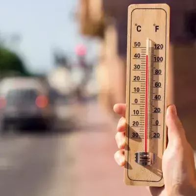 Wegen Hitze und Klimakatastrophe: RTL stellt sein Programm um