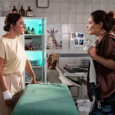 TV-Tipps am Dienstag
