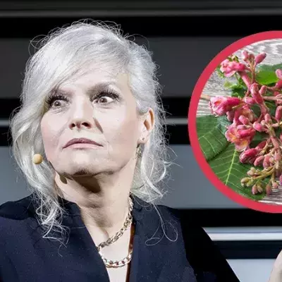 Ina Müller heilt schlimme Krankheit mit zweifelhafter Bachblüten-Therapie