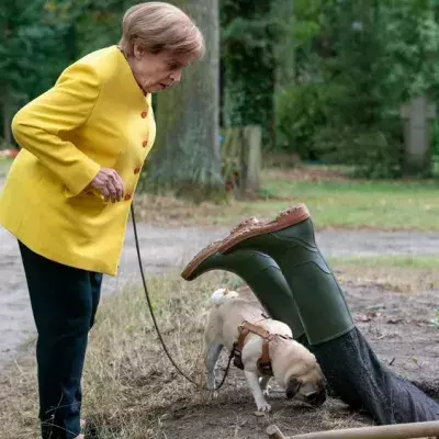 Neuer Fall: "Miss Merkel" kommt im März zurück