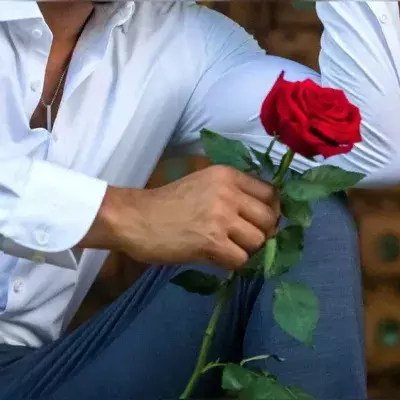 "Der Bachelor": RTL schickt 2024 zwei Junggesellen ins Duell