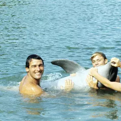 Flipper, Lassie und Co: So erging es den tierischen Helden unserer Kindheit nach den Dreharbeiten